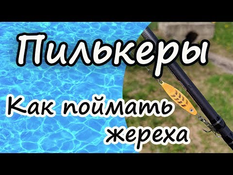 Видео: Пилькеры . Как поймать жереха .