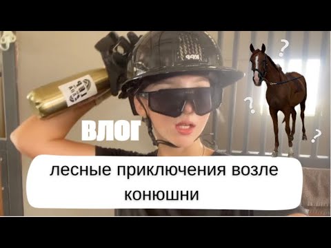 Видео: Приключение в лесу | рассказываю один секрет🤫