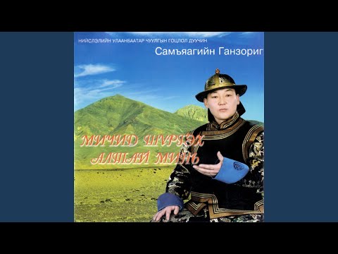Видео: Мичид шүргэх алтай