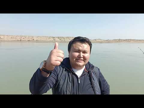 Видео: Сырдария Рыбалка 2023, Шөгеріл, Көксарай 2023