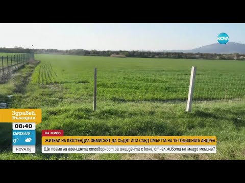 Видео: След катастрофата с коне: Трябваше Андреа да загине, за да поставят ограда до пътя