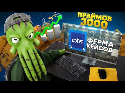 Видео: ЗАРАБОТОК С ФЕРМЫ КС2 НА 3000 ПРАЙМОВ, И КУДА ИНВЕСТИРОВАЛ 300$