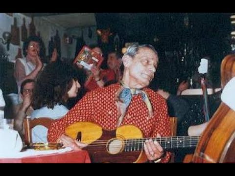 Видео: Алеша Димитриевич. Лучшие песни. GYPSY MUSIC.