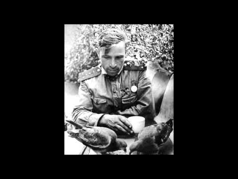 Видео: Motor-Roller - Нас не нужно жалеть /По самый Рейхстаг, 2015/