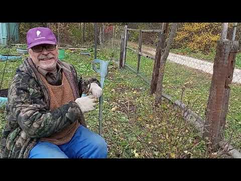 Видео: Жизнь в деревне: С утра завтрак. Работа на улице. Обед вкусно