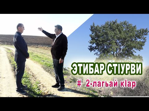 Видео: 49) Алам тв-дин мугьман Этибар СтIурви. # 2-лагьай кIар