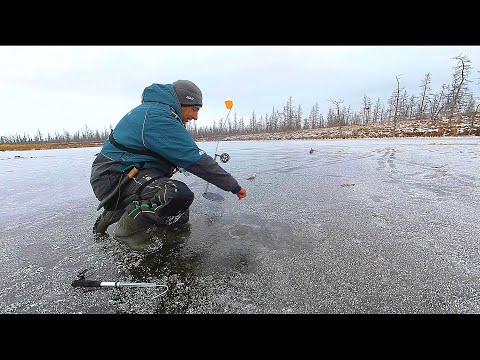 Видео: ОПУСТИЛ КАМЕРУ В ЛУНКУ И...   Первый Лед 2023 2024 Рыбалка на жерлицы