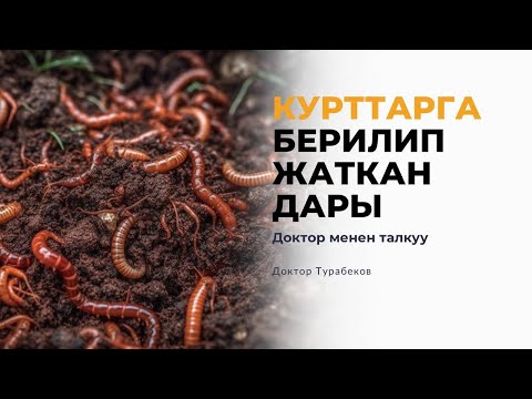 Видео: КУРТТАРГА КАРШЫ БЕРИЛИП ЖАТКАН ДАРЫ | ДОКТОР ТУРАБЕКОВ | ПАРАЗИТ | КЫРГЫЗСТАН