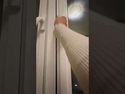 Видео: 19 октября 2025 г.