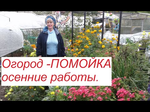 Видео: Огород-помойка .Осенние работы .