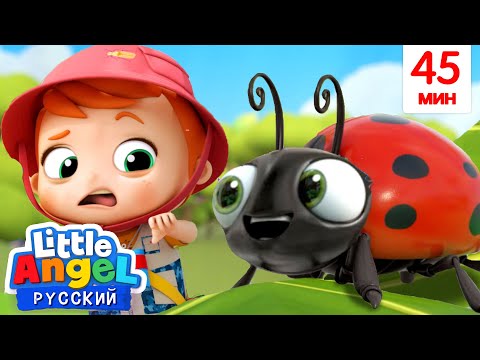 Видео: Изучаем Животных - Насекомые!🐞 | Развивающие Детские Мультики Про Животных | Little Angel Русский