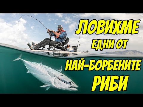 Видео: ЗАПАЛИХА МИ АВАНСА. РИБОЛОВ НА ЕДНИ ОТ НАЙ-БОРБЕНИТЕ РИБИ - ТУНАКИТА