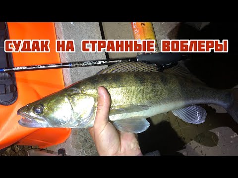 Видео: СУДАК НА НЕ СТАНДАРТНЫЕ ВОБЛЕРЫ | НА НИХ НИКТО НЕ ЛОВИТ СУДАКА