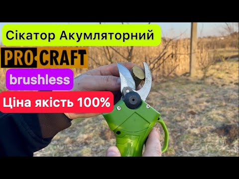 Видео: Огляд Акумуляторний сікатор Procraft ES16Li з безщітковим двигуном ріже все