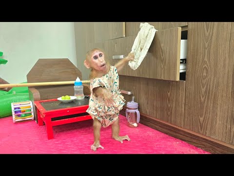 Видео: Удивительно, что БиБу может делать это, будучи слепым!