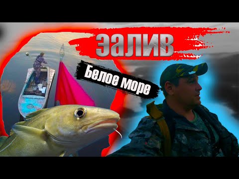 Видео: Кандалакшский залив (Рыбалка)