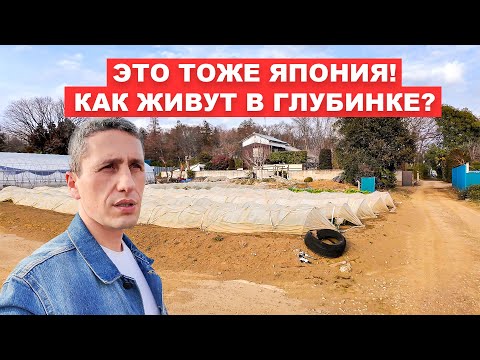Видео: Повседневная Жизнь в Японской Глубинке: От Полей до Подворий