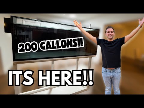 Видео: МОЙ НОВЫЙ ИНДИВИДУАЛЬНЫЙ АКВАРИУМ УЖЕ УЖЕ!!!