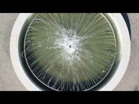 Видео: Таруса и её окрестности