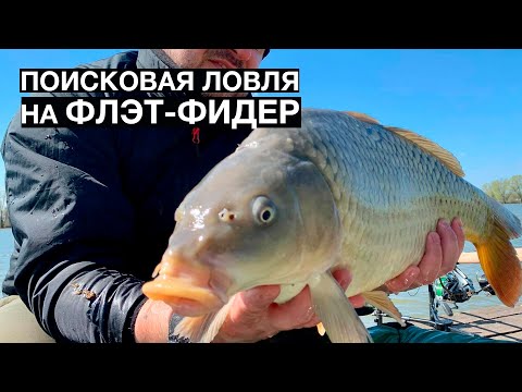 Видео: Поисковая ловля карпа весной Флэт-фидер