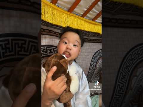 Видео: ах дүү гэж