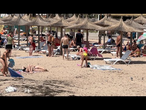 Видео: «Побывали на двух пляжах Бердянска»