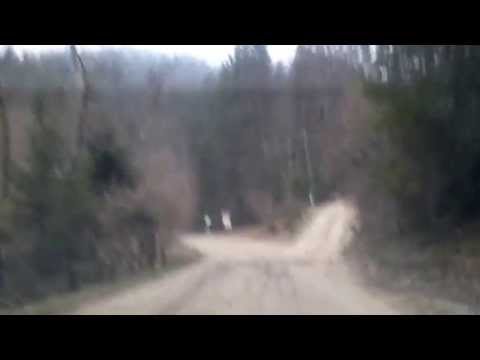 Видео: Шурдин.Дорога на Селятин.