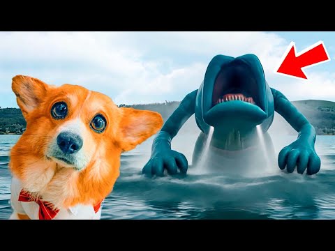 Видео: SEA EATER ЖИВЕТ В НАШЕМ ОЗЕРЕ! 24 часа УБЕГАЕМ ОТ ПОЖИРАТЕЛЯ МОРЕЙ! Cool Dogs