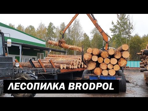 Видео: Линия лесопиления BRODPOL Длина бревен 6 м 460 мм (2019 год) (SAWMILL LINE BRODPOL)