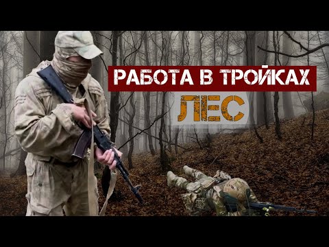 Видео: Работа в тройках. Лес