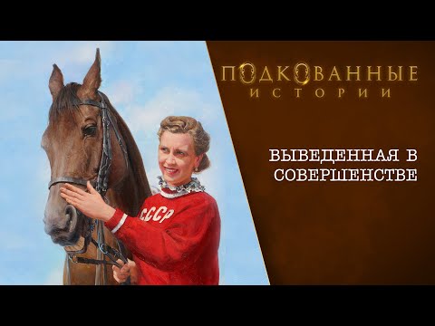 Видео: Подкованные истории - ВЫВЕДЕННАЯ В СОВЕРШЕНСТВЕ
