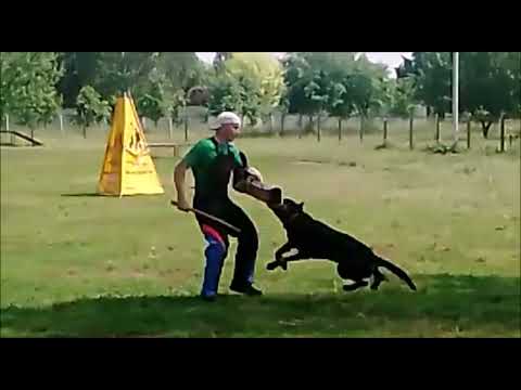 Видео: Вера и Райс. Испытания ЗКС 03.06.2023 г.