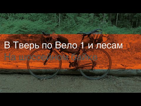 Видео: В Тверь по Вело 1 и лесам на шоссейном байке