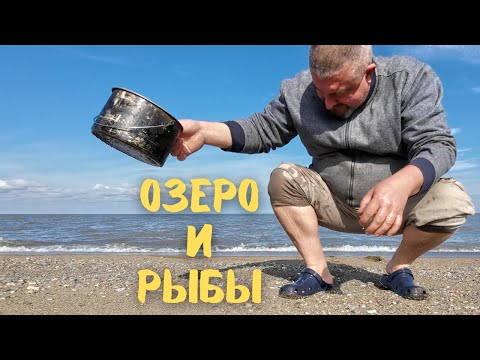 Видео: Чпок и пора спать! Обычный день на озере Зайсан. #вэнлайф #казахстан #путешествие #зайсан