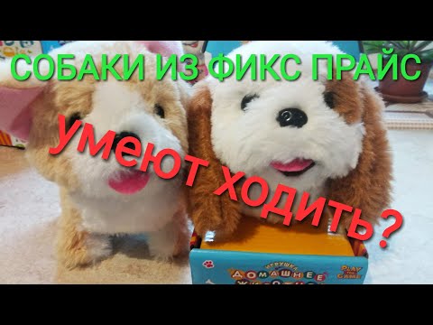 Видео: Робот - собака из Фикс Прайс за 299 рублей, лучший друг ребенка? Игрушка ДОМАШНЕЕ ЖИВОТНОЕ.