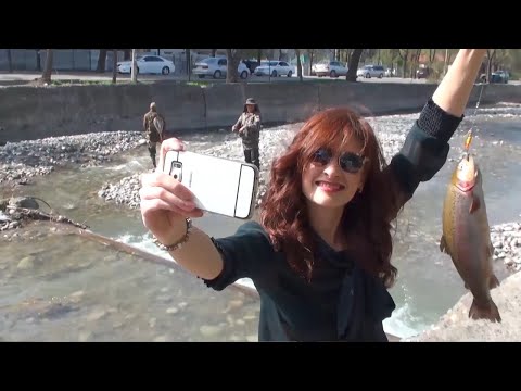 Видео: Рыбалка на форель в центре Бишкека!