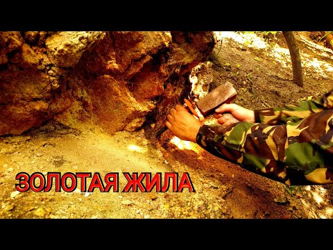 Видео: МОЯ ЗОЛОТАЯ ЖИЛА