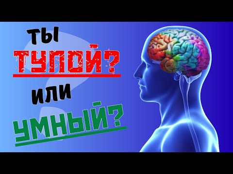 Видео: НАСКОЛЬКО ТЫ УМНЫЙ? 55 ВОПРОСОВ🔥😎🤔