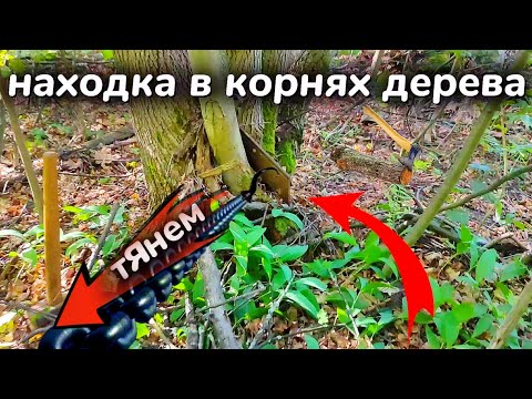 Видео: Тянем потянем, вытянуть не можем