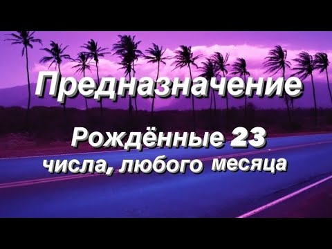 Видео: Предназначение. Реализация. Рождённые 23 числа.