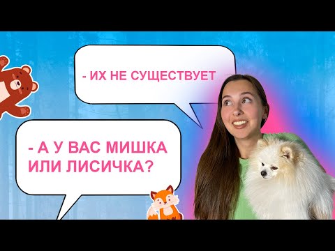 Видео: Отличие немецкого и померанского шпица. Измеряю Бонди. Стандарты РКФ