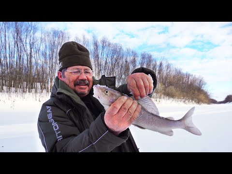 Видео: БАТЯ В ШОКЕ! УДОЧКИ УТОПЛЕНЫ, МОРМЫШКИ ОТОРВАНЫ! 7 ДНЕЙ В ПАЛАТКЕ.  ЭКСПЕДИЦИЯ НА ПЕЧОРУ. Часть 3