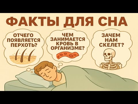 Видео: Факты для сна: Увлекательные и познавательные истории перед сном