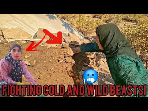 Видео: Бездомная мать готовится пережить зимние холода и сразиться с дикими животными!