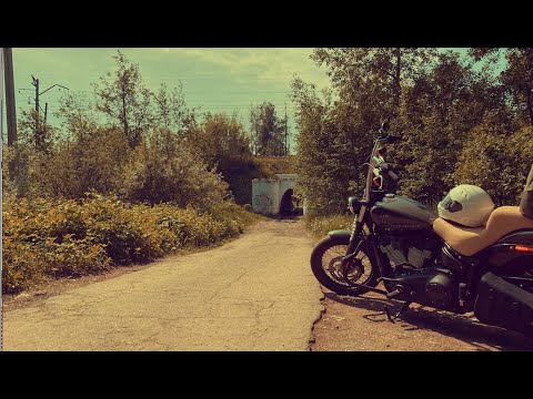 Видео: Мой первый мотоцикл Harley Davidson Street Bob  ОТЗЫВ о новом Харлее