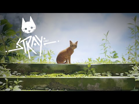 Видео: ФИНАЛ | STRAY #8