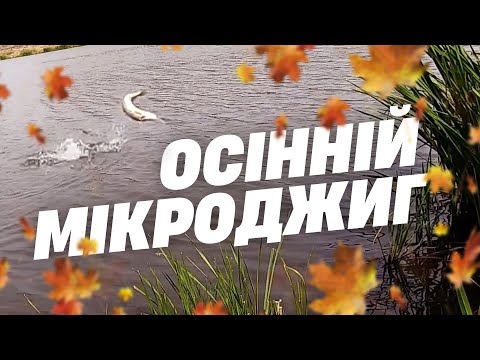 Видео: Осінній мікроджиг