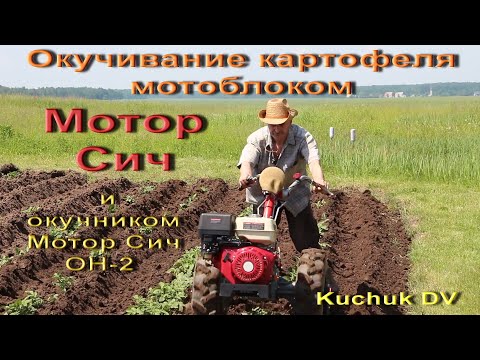 Видео: Окучивание картофеля мотоблоком Мотор Сич и окучником Мотор Сич ОН-2.