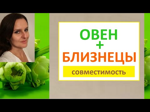 Видео: ОВЕН + БЛИЗНЕЦЫ совместимость в отношениях - на что ориентироваться?