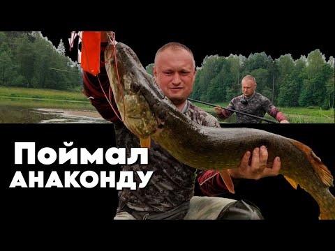 Видео: Как Поймать КРУПНУЮ ЩУКУ Летом? Мой Секрет — Поплавок и Живец